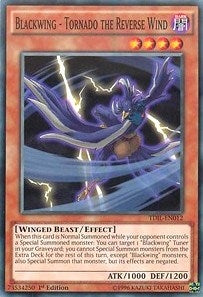 Blackwing - Tornado the Reverse Wind (12) (TDIL) - YuGiOh Single
