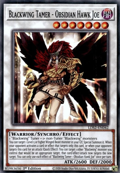 Blackwing Tamer - Obsidian Hawk Joe (2042) (LDS2) - YuGiOh Single