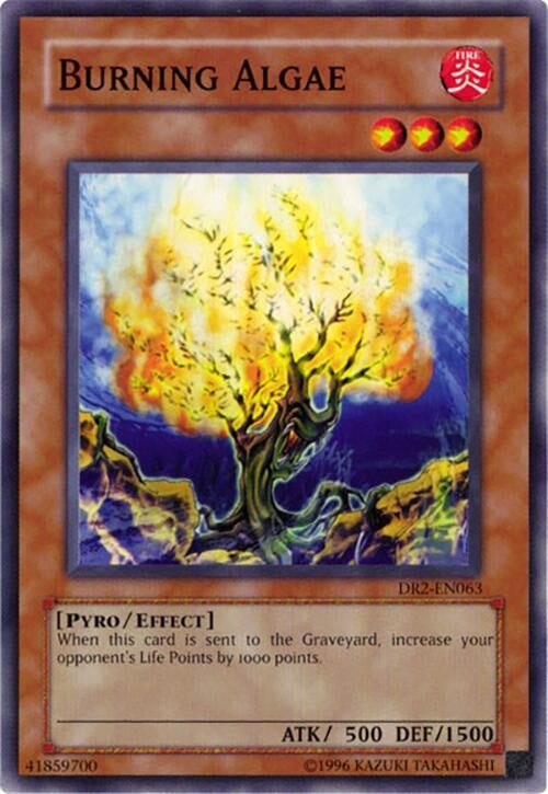 Burning Algae (2063) - YuGiOh Single