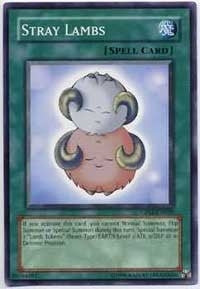 Stray Lambs (2020) - YuGiOh Single