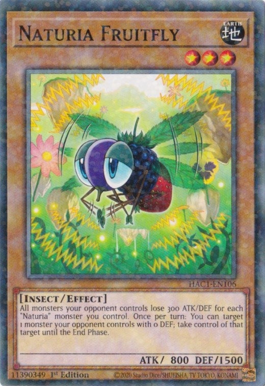 Naturia Fruitfly (Duel Terminal) (1106) (HAC1) - YuGiOh Single