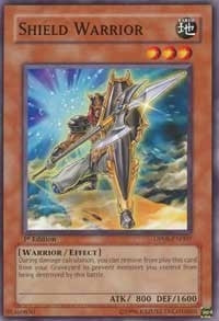 Shield Warrior (8007) (DP08) - YuGiOh Single