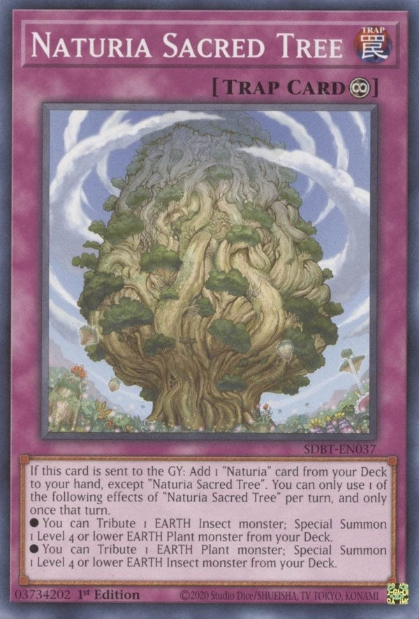 Naturia Sacred Tree (37) (SDBT) - YuGiOh Single