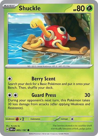 Shuckle (005/197) (OBF)