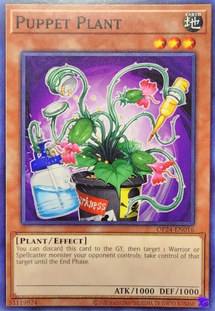Puppet Plant (24016) (OP24) - YuGiOh Single