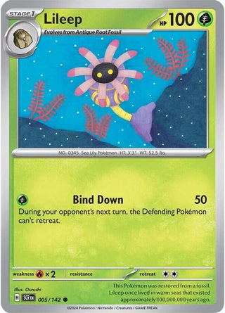 Image for Lileep (005/142) (SV07: Stellar Crown) - Pokemon