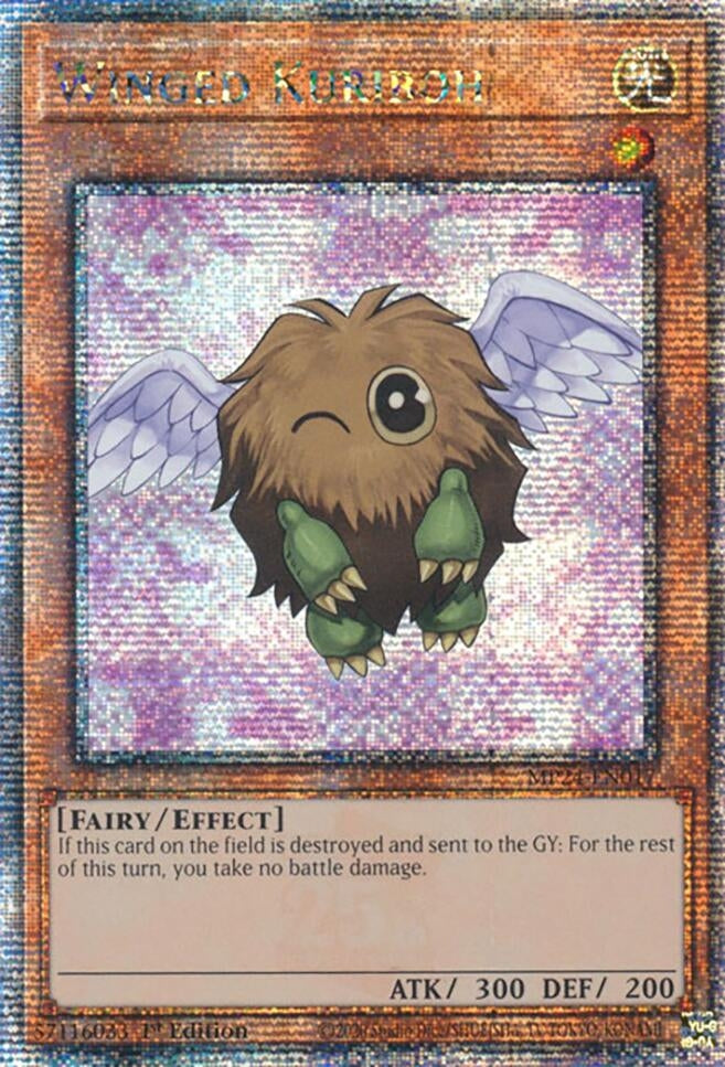 Winged Kuriboh (24017) - YuGiOh Single
