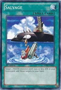 Salvage (30) (SDRE) - YuGiOh Single