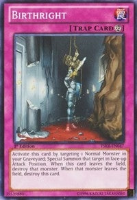 Birthright (47) (YSKR) - YuGiOh Single