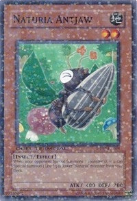 Naturia Antjaw (2069) (DT02) - YuGiOh Single