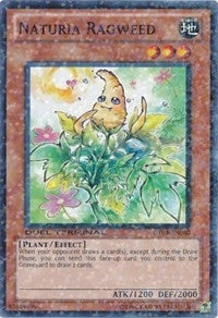 Naturia Ragweed (4080) (DT04) - YuGiOh Single