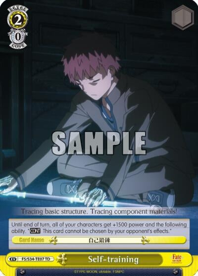Self-training (TD) (3407) [FS/S34] - Weiss Schwarz Single