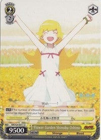 Flower Garden Shinobu Oshino (24011) [NM/S24] - Weiss Schwarz Single