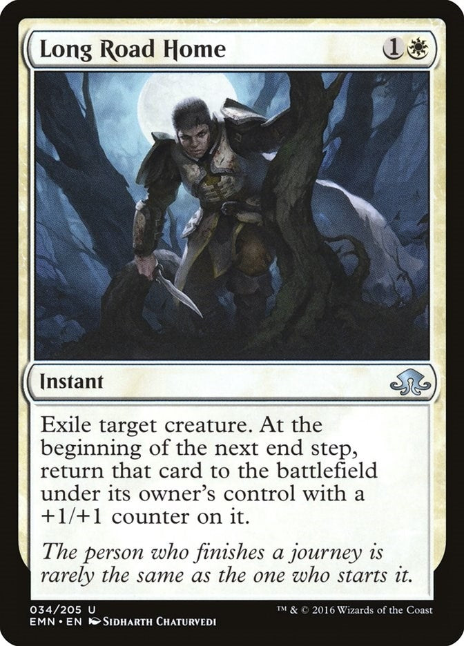 Long Road Home (34) [EMN] - MTG Single