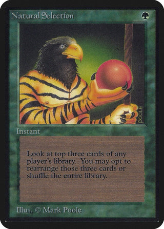 Natural Selection [LEA] - MTG Single
