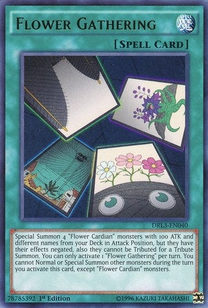 Flower Gathering (3040) (DRL3) - YuGiOh Single