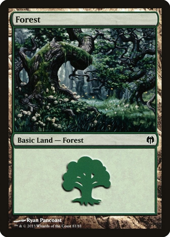 Forest (81) (81) [DDL] - MTG Single