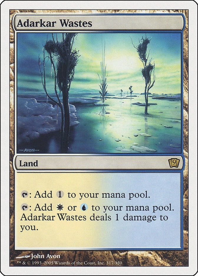 Adarkar Wastes (317) [9ED] - MTG Single