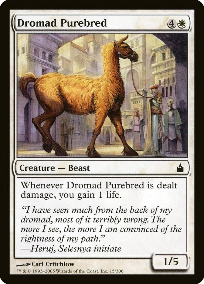 Dromad Purebred (15) [RAV] - MTG Single
