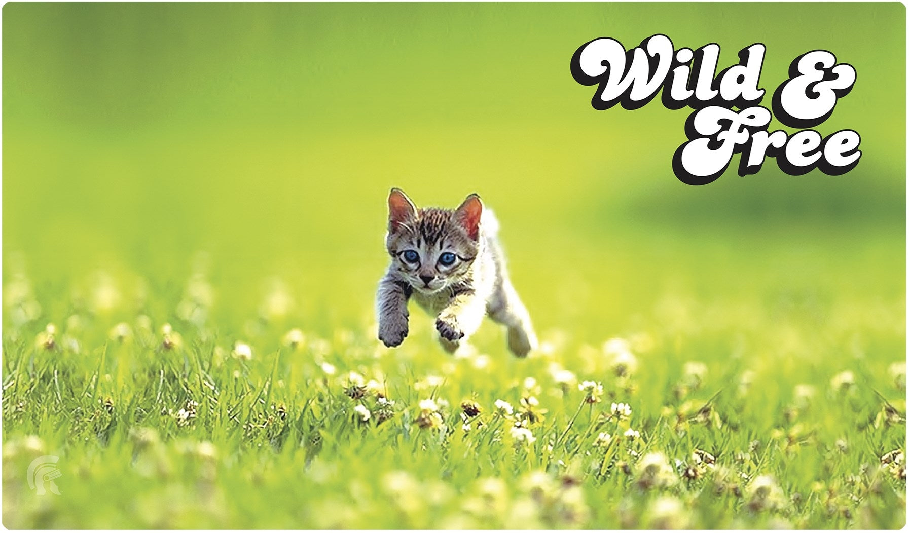 Rubber Playmat - Kitten - Playmats Sealed