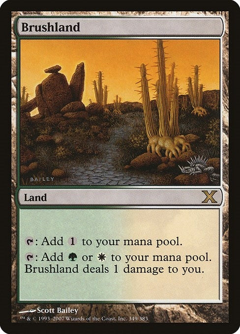 Brushland (349) [10E] - MTG Single