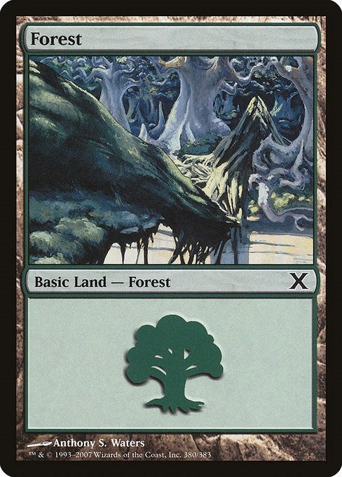 Forest (380) (380) [10E] - MTG Single