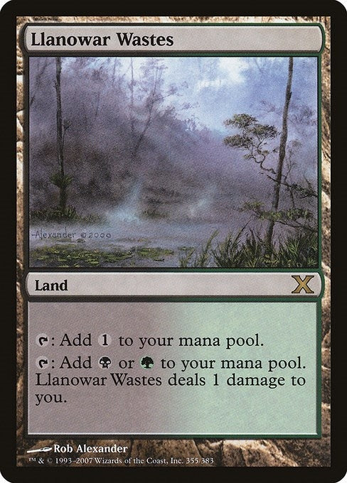 Llanowar Wastes (355) [10E] - MTG Single