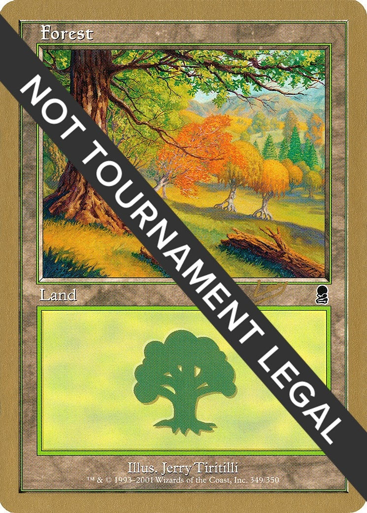 Forest (349) - 2002 Raphael Levy (ODY) [WCD] - MTG Single
