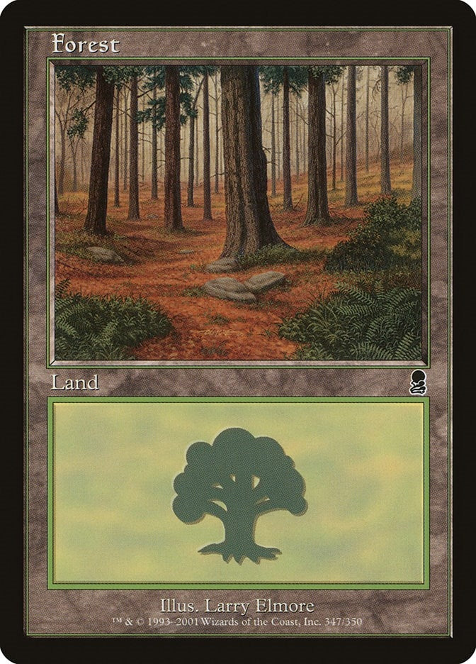 Forest (347) (347) [ODY] - MTG Single