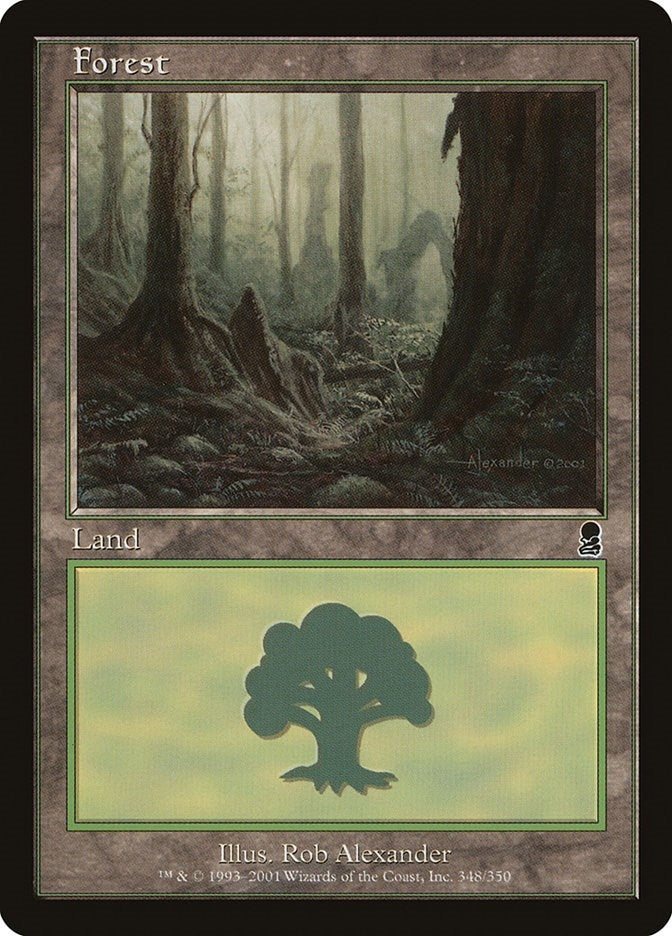 Forest (348) (348) [ODY] - MTG Single