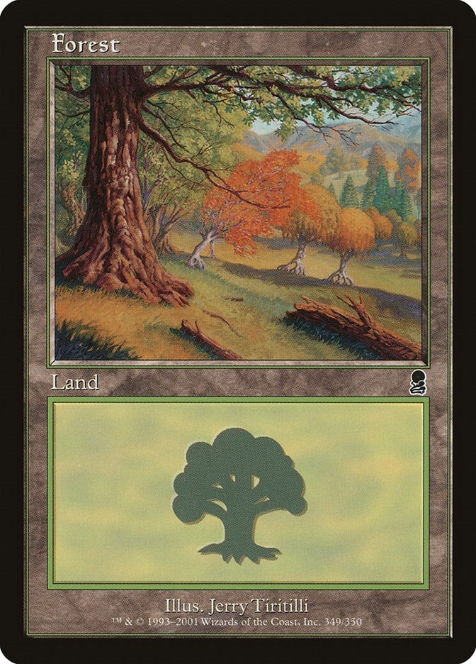 Forest (349) (349) [ODY] - MTG Single
