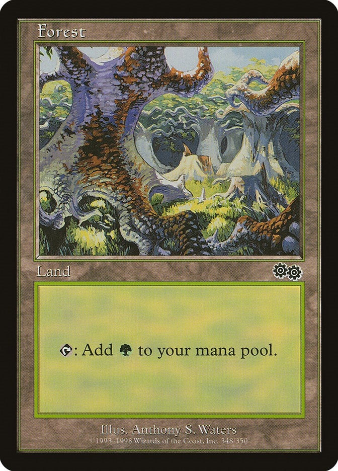 Forest (348) (348) [USG] - MTG Single