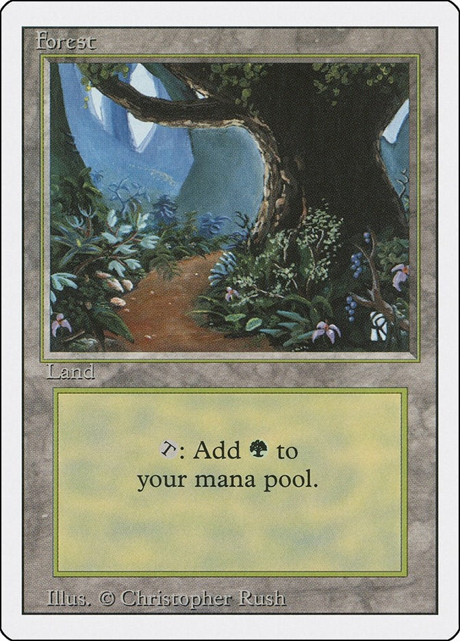 Forest (B) (286) [3ED] - MTG Single