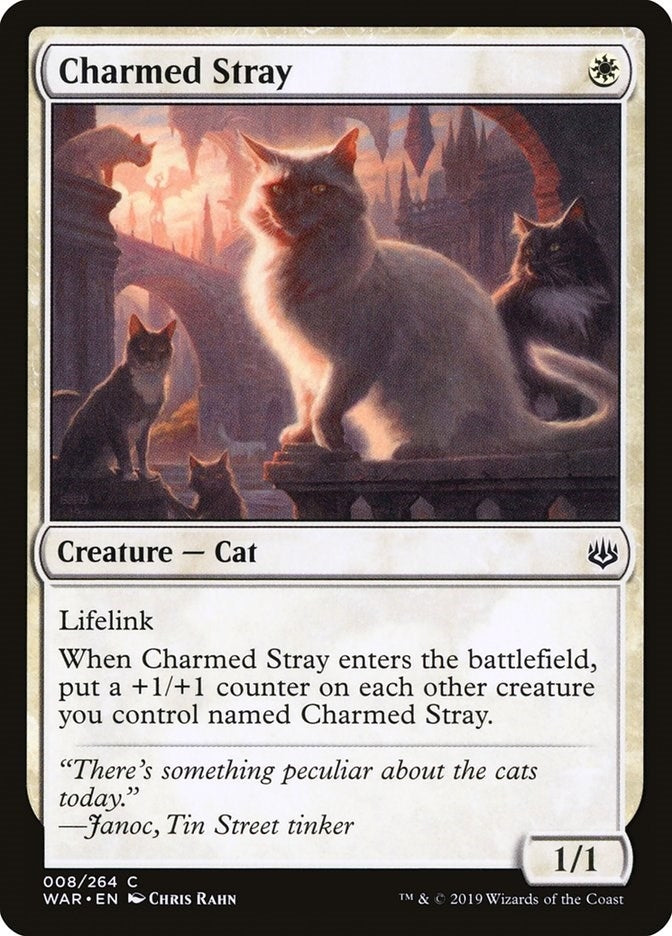 Charmed Stray (8) [WAR] - MTG Single