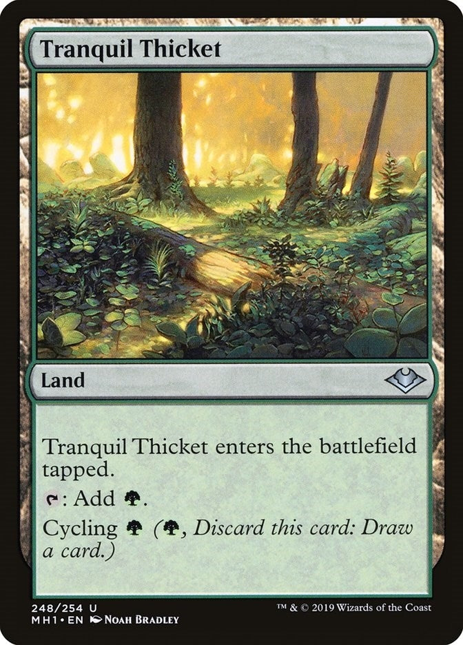 Tranquil Thicket (248) [MH1] - MTG Single