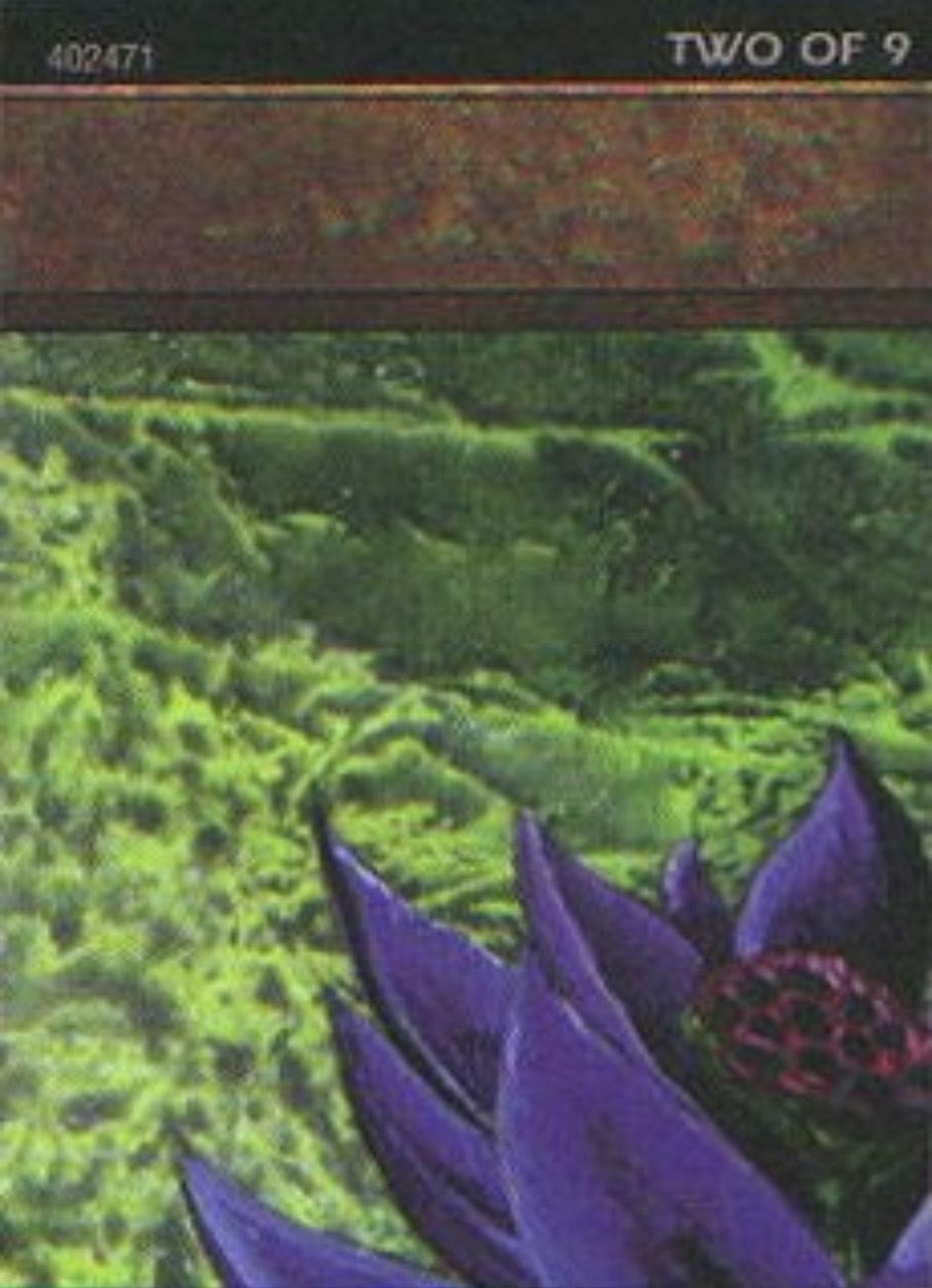 Black Lotus (2 of 9) (Ultra Pro Puzzle Quest) (1) [MEDIA] - MTG Single