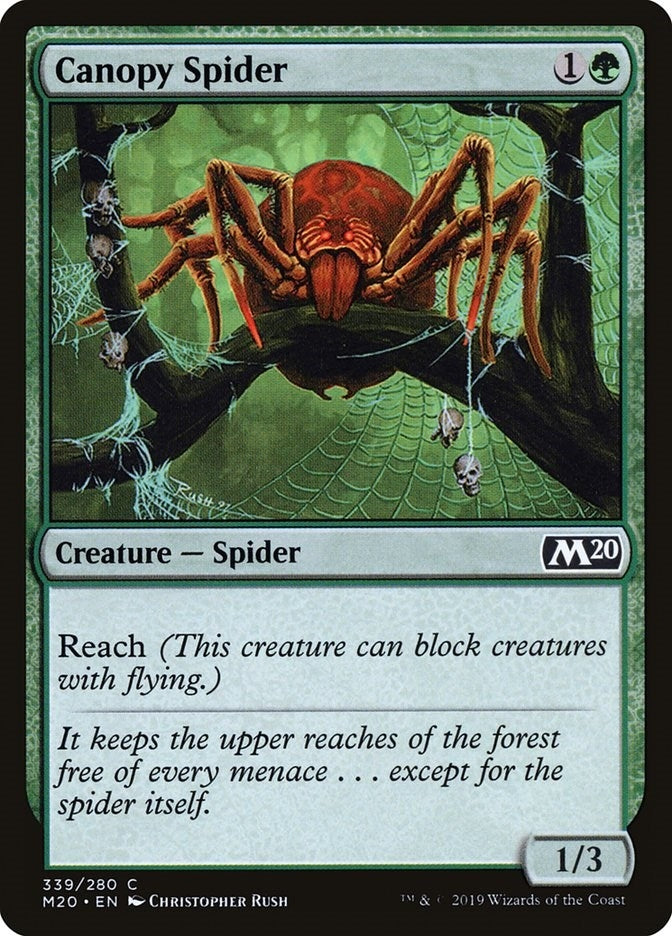Canopy Spider (339) [M20] - MTG Single