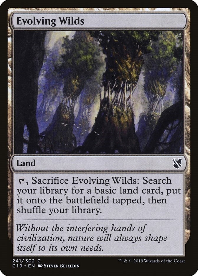 Evolving Wilds (241) [C19] - MTG Single