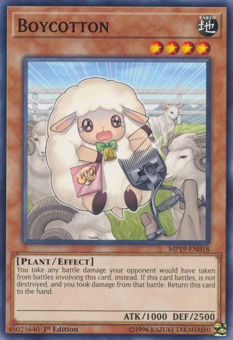 Boycotton (19018) (MP19) - YuGiOh Single