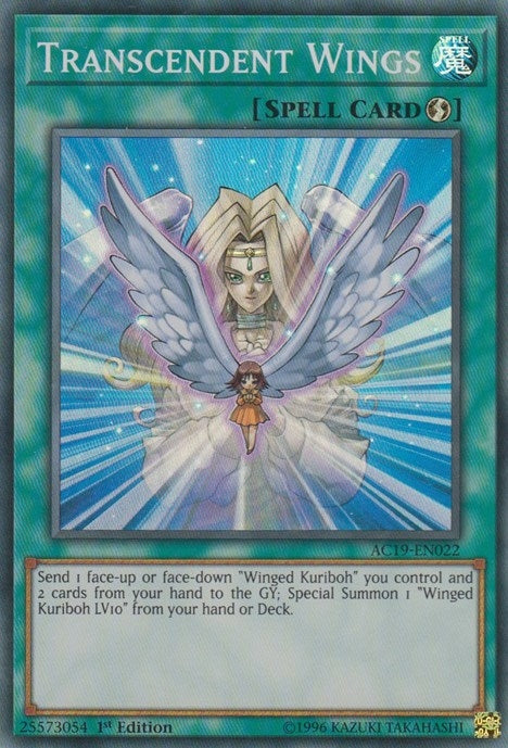 Transcendent Wings (19022) (AC19) - YuGiOh Single