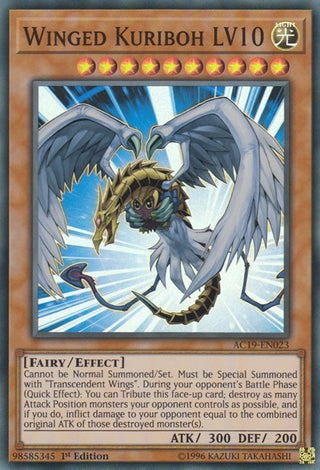 Winged Kuriboh LV10 (19023) (AC19) - YuGiOh Single