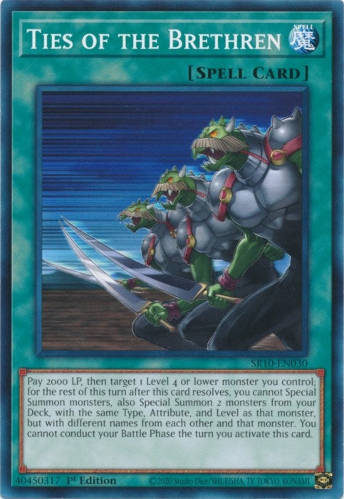 Ties of the Brethren (10030) (SR10) - YuGiOh Single