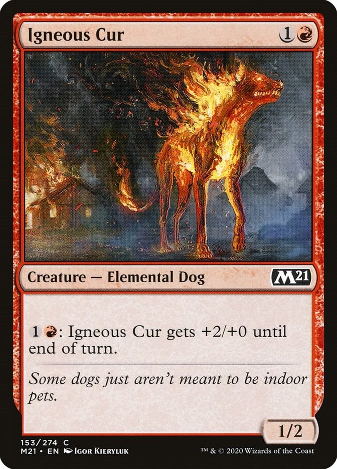 Igneous Cur (153) [M21] - MTG Single