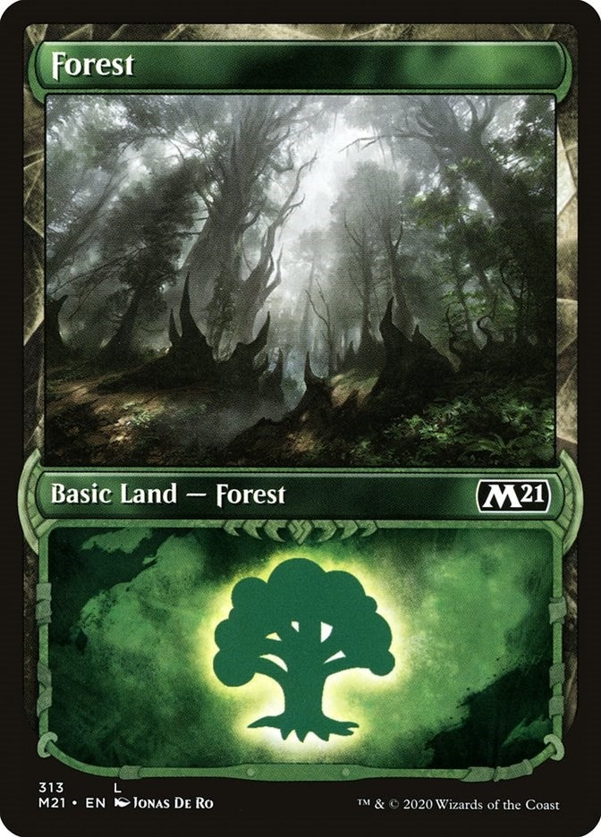 Forest (Showcase) (313) [M21] - MTG Single