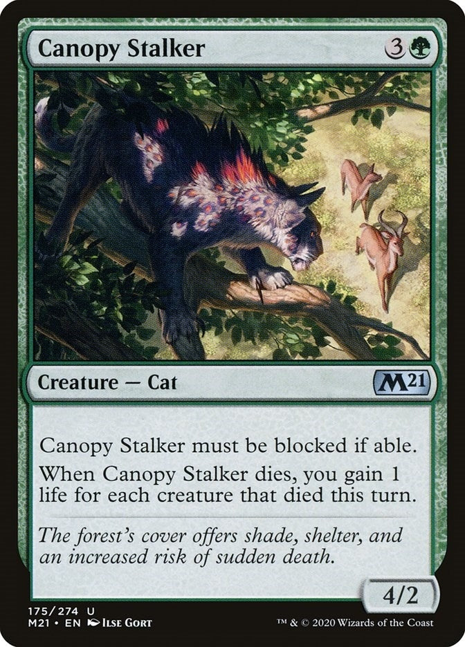 Canopy Stalker (175) [M21] - MTG Single
