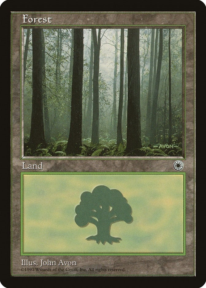 Forest (Ferns on Ground) (205) [POR] - MTG Single