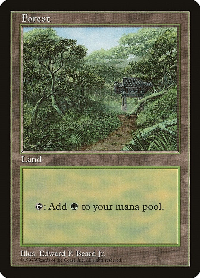 Forest - Clear Pack (Beard Jr.) [APAC] - MTG Single