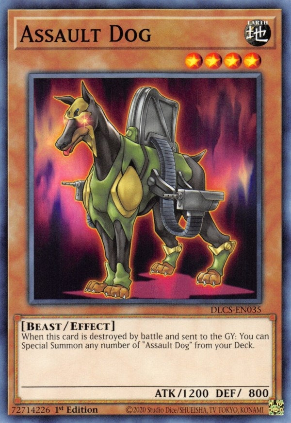 Assault Dog (35) (DLCS) - YuGiOh Single