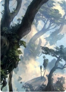 Forest Art Card (19/81) (19) [ASZNR] - MTG Single
