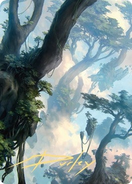 Forest Art Card (19/81) (Gold-Stamped Signature) (19) [ASZNR] - MTG Single